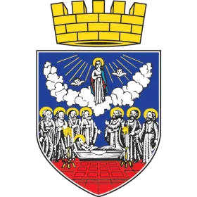 Грб — Град Зрењанин