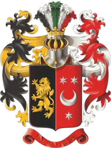 Грб — Илић